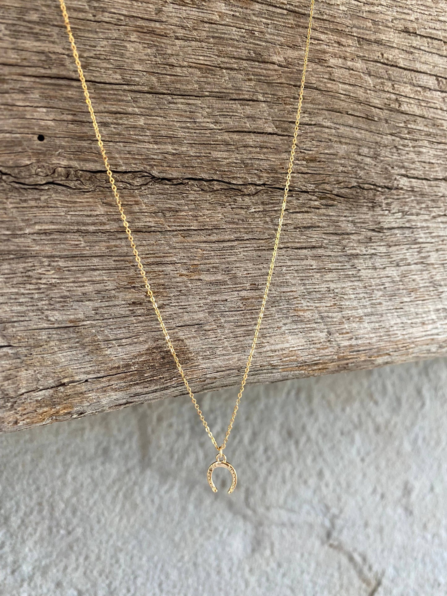 Petite Horseshoe Necklace