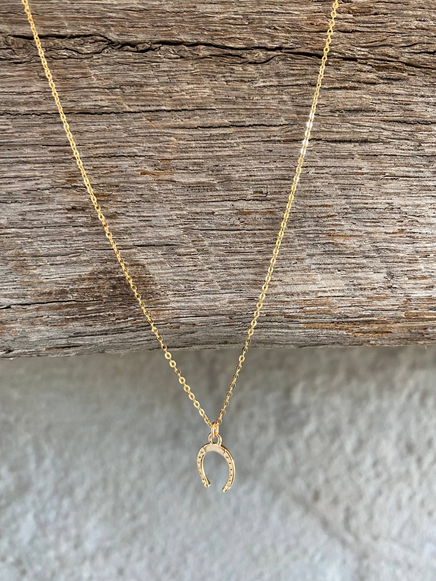 Petite Horseshoe Necklace